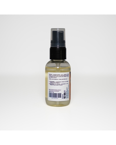 Bait Booster Spray Original Scopex